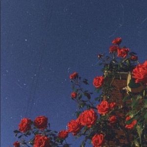 Meet your Posher, Chase